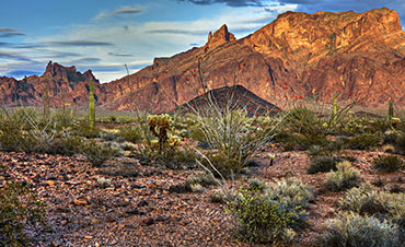 Kofa National Wildlife Refuge